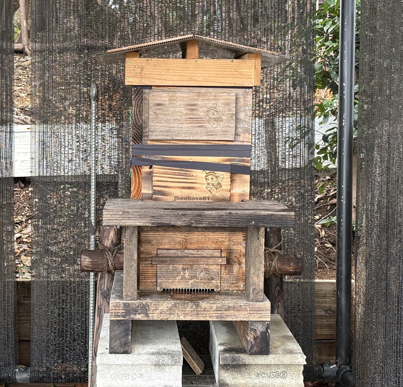 C棟2号巣箱