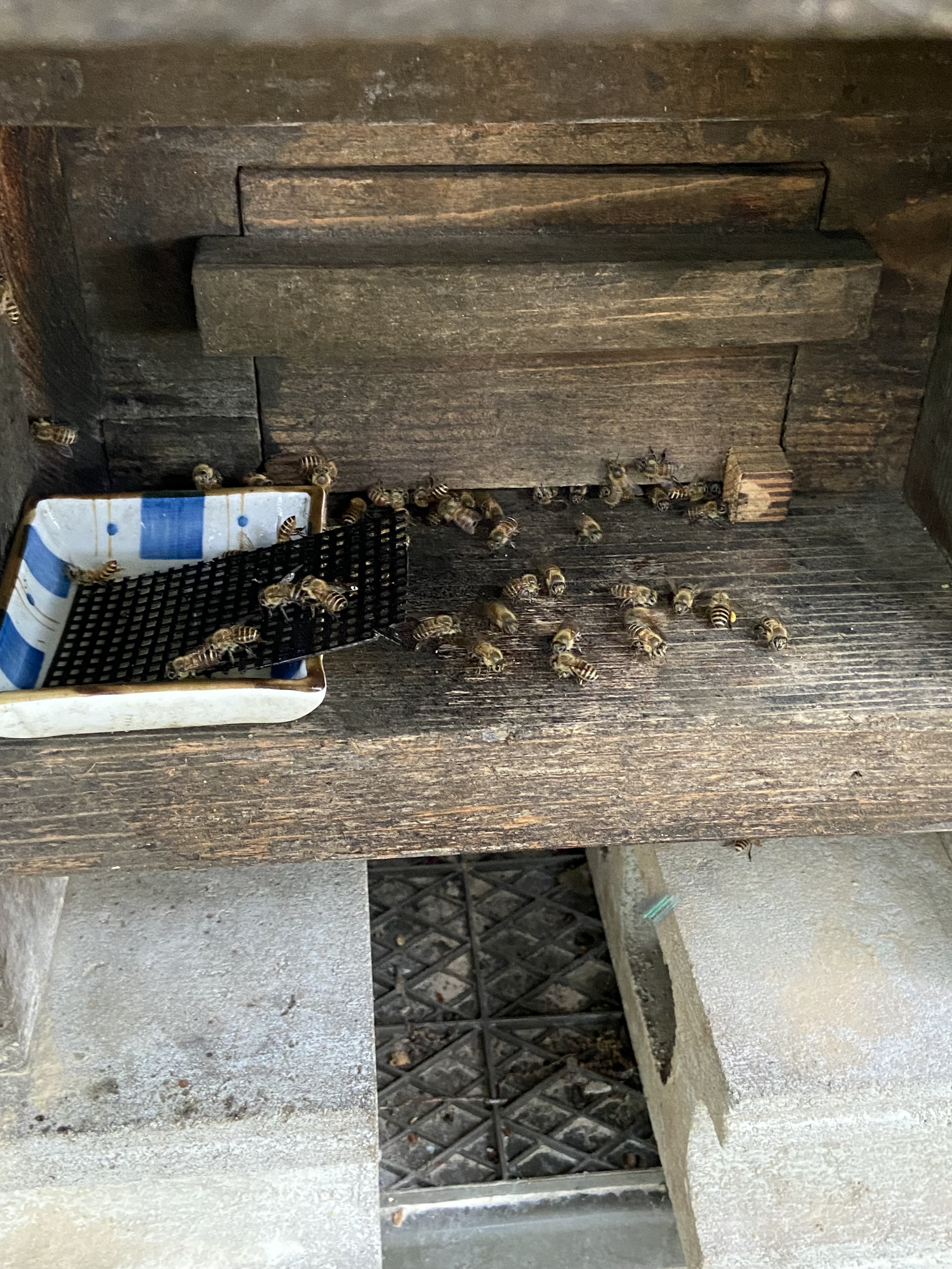 Beekeeping Work Log